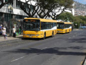 Stadtbus Funchal - sehr dichtes Netz und guter Fahrplan